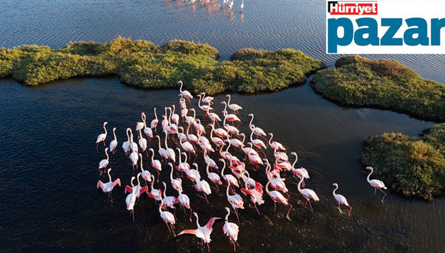 Kızılırmak Deltası’ndan sonra Gediz Deltası da UNESCO Dünya Mirası Listesi’ne girme yolunda... Darısı diğerlerinin başına