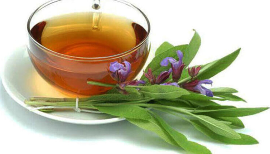 ’Ada çayı bağışıklık sistemini güçlendirmede çok etkili’