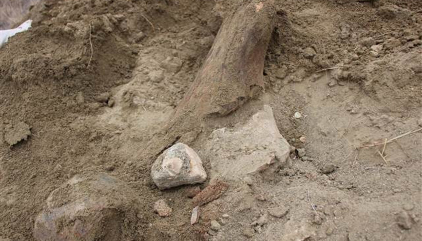 Köylüler su ararken fosil buldu