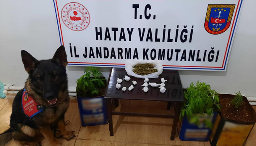 Hatay’da uyuşturucu operasyonu
