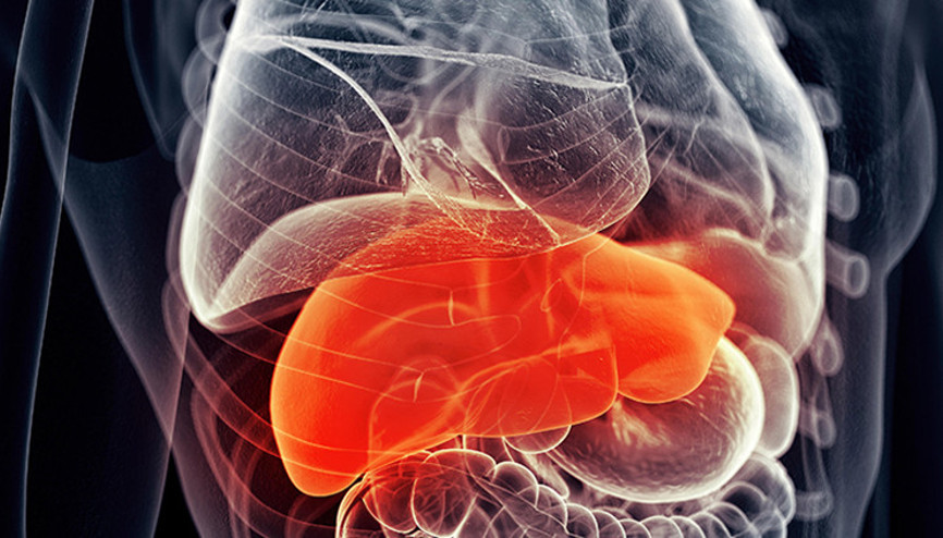 Karaciğer yağlanması kalbi vuruyor