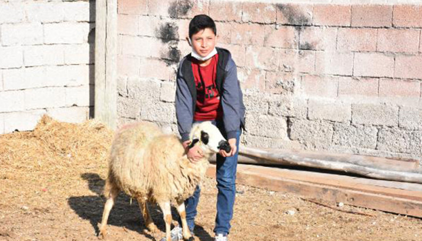 Enes, uzaktan eğitimden arta kalan zamanda ailesine yardım ediyor