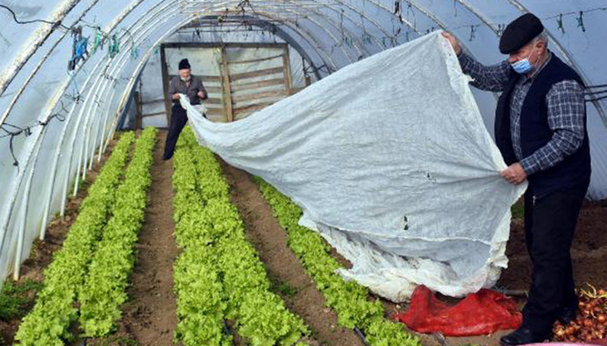 Edirnede don olayına karşı sobalı ve zirai örtülü önlem