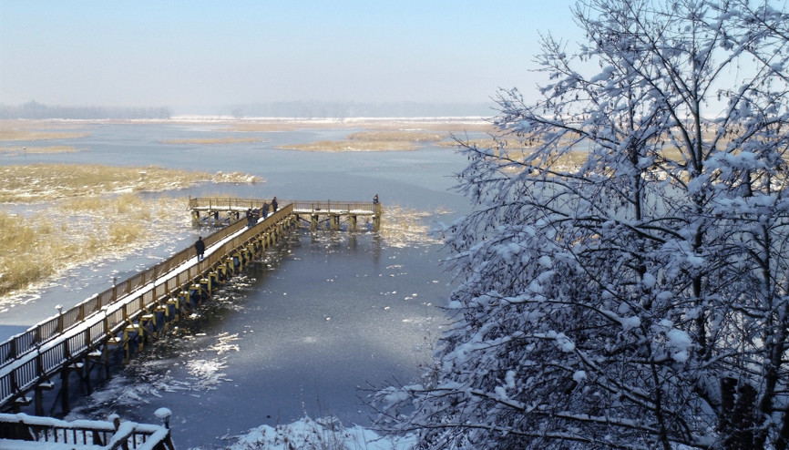 Düzcedeki Efteni Gölü Buz Tuttu