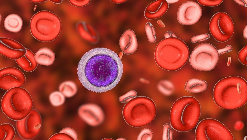 Kalıtsal Bir Kansızlık: Akdeniz Anemisi Belirtileri ve Tedavisi