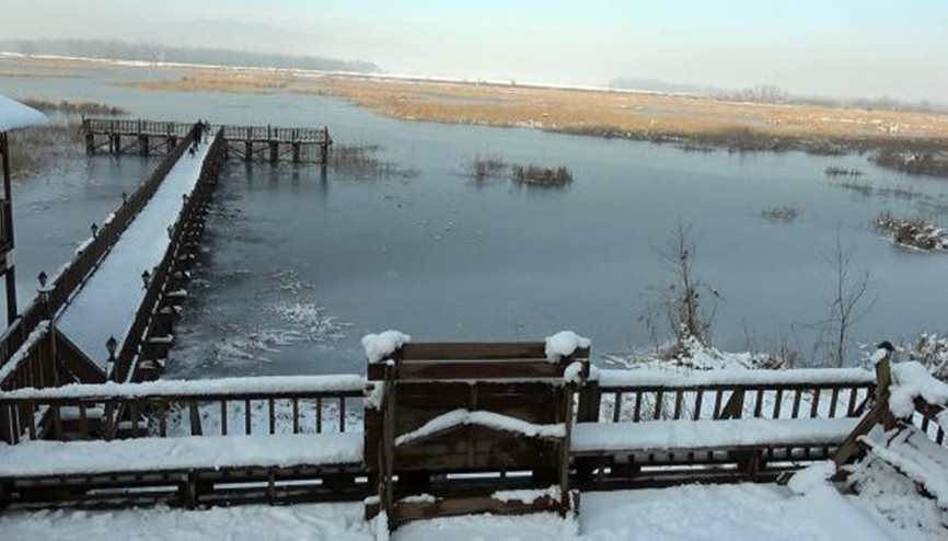 Kuş cenneti Efteni Gölü, buz tuttu