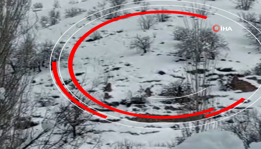 Dikkat çeken görüntü Hakkaride sürü halinde kameraya kaydedildi