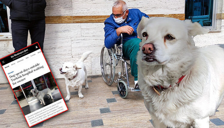 Sahibini 5 gündür hastane kapısında bekleyen Boncuk dünya basınında