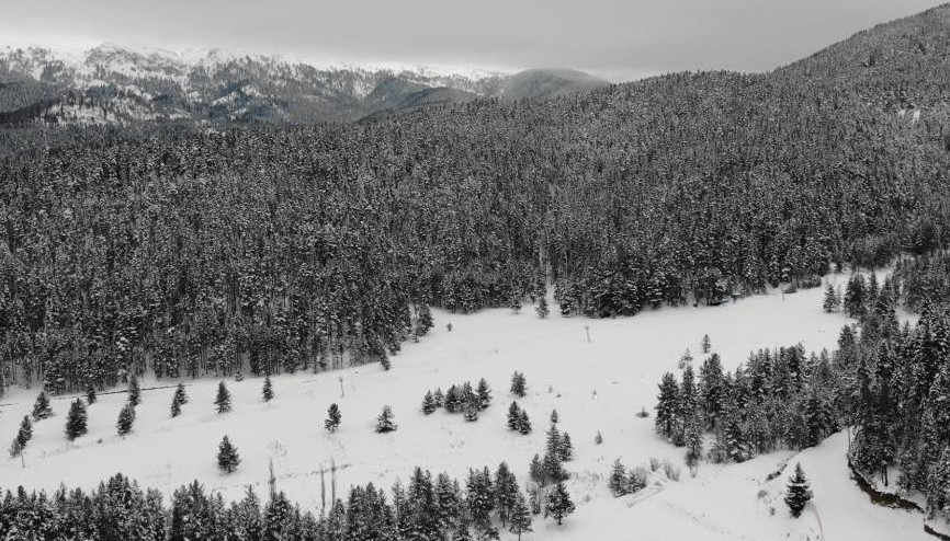 Ilgaz Dağı Yıldıztepe Kayak Merkezi’nde kar turizmcileri sevindirdi