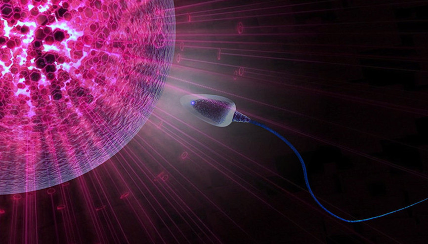 “TESE” ile sperm çıkmayan azospermi uygulamaları