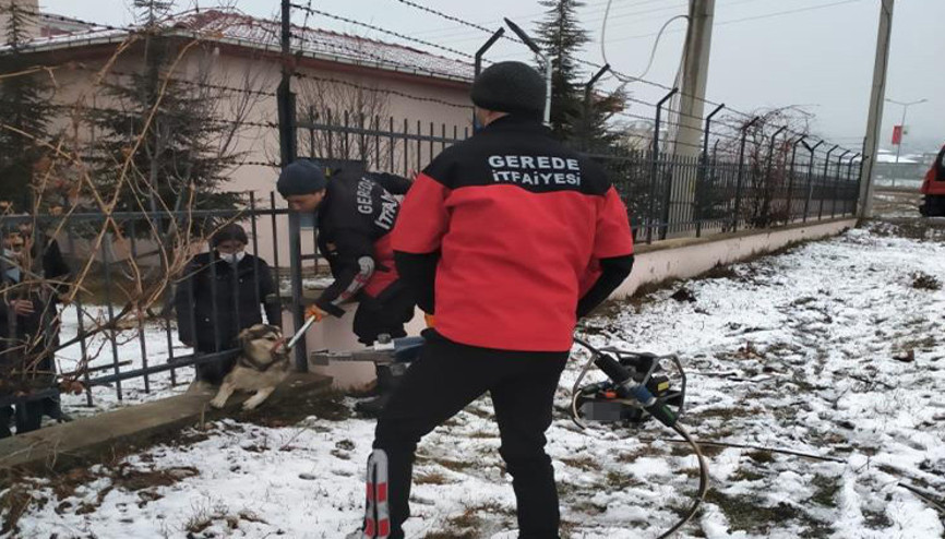 Bolu’da bahçe demirlerine sıkışan köpeği itfaiye kurtardı