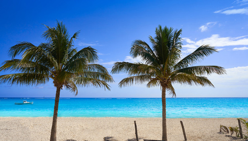 Koronavirüse ilginç çözüm Evden çalışana vize veriyorlar