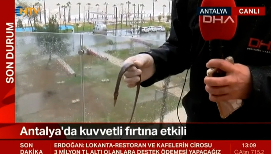 Şiddetli fırtına, denizdeki balığı balkona fırlattı Şiddetli fırtına, denizdeki balığı balkona fırlattı