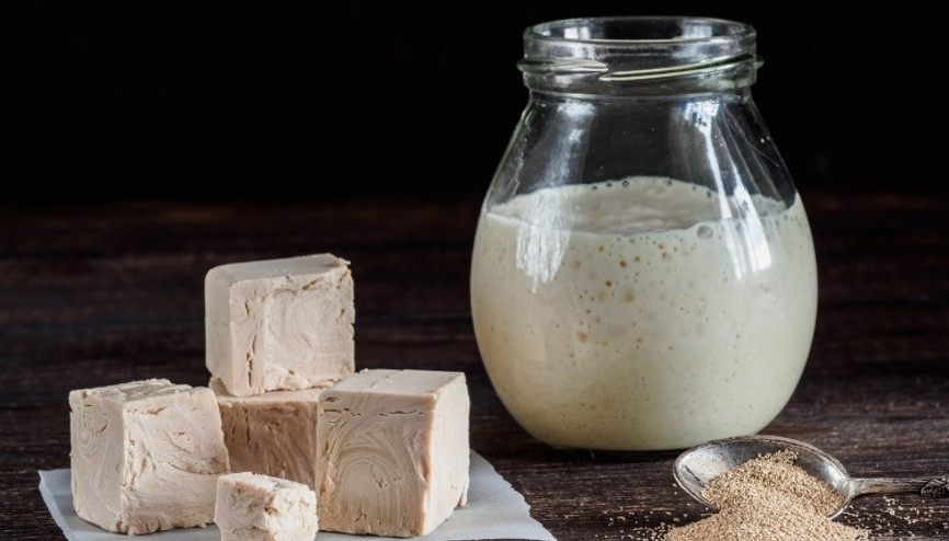 Maya vegan mıdır Mayalı yiyecekler vegan beslenmeyi bozar mı