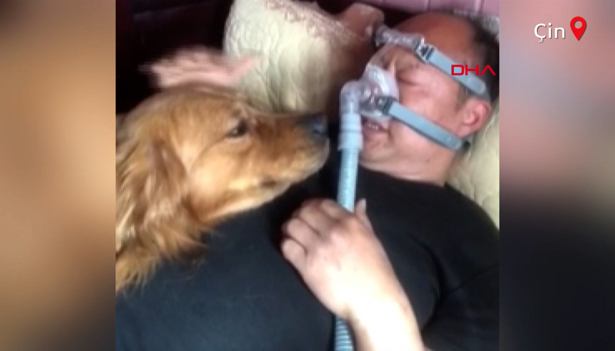 Köpeğin duygulandıran vefası