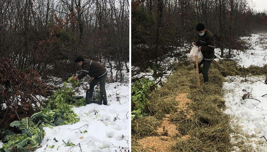Tekirdağda yaban hayvanları için doğaya 4,5 ton yem bırakıldı