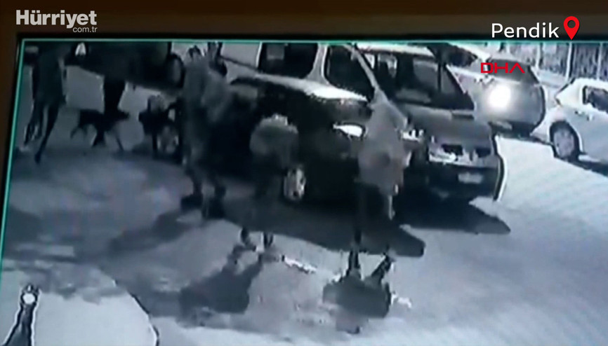 Korkudan otomobillerin üstüne çıktılar