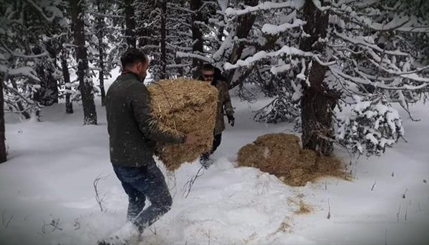 4x4 üyelerinden yabana destek