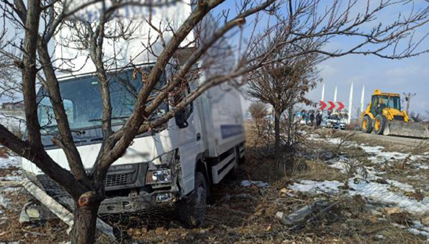 Buzlanan yolda kontrolden çıkan kamyonet, ağaca çarparak durdu