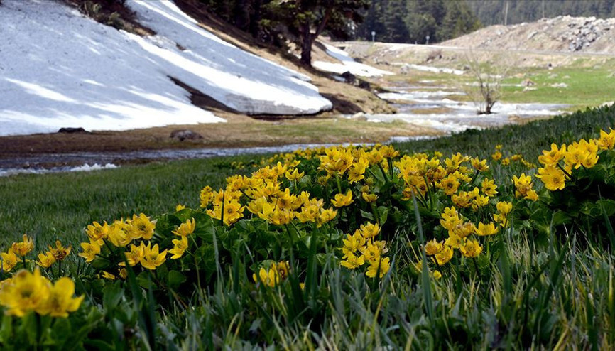 İlk cemre ne zaman düşecek İşte cemrenin düşeceği tarih İlk cemre ne zaman düşecek İşte cemrenin düşeceği tarih
