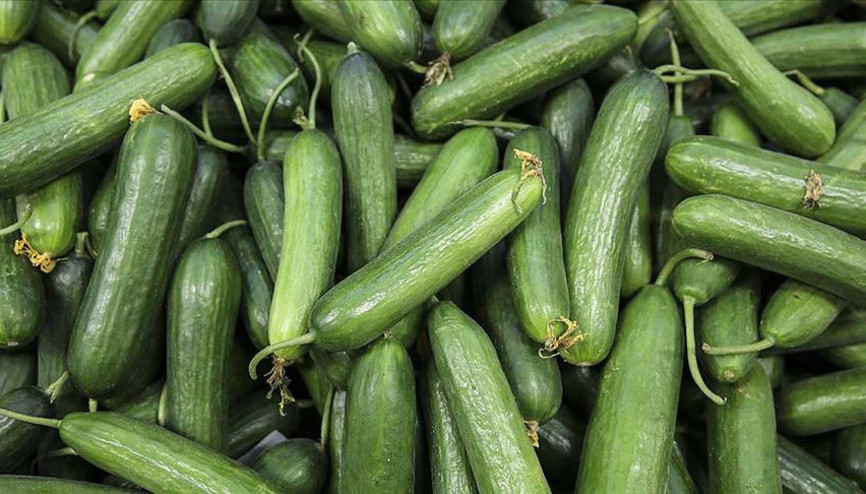 Ocakta en çok salatalığın fiyatı arttı