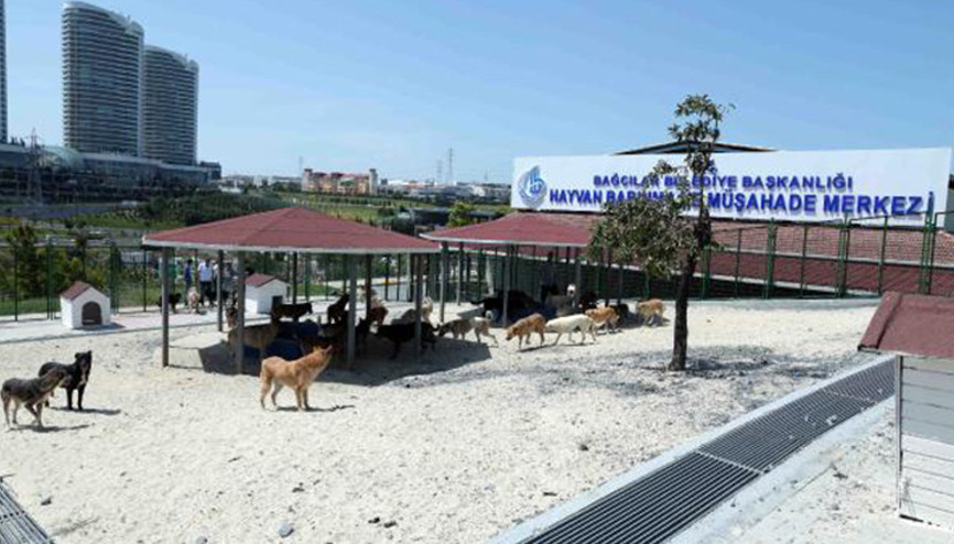 Bağcılar’da 8 bin 506 sokak hayvanı tedavi edildi Bağcılar’da 8 bin 506 sokak hayvanı tedavi edildi