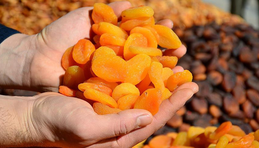 GAİB ocak ayında 55 ülkeye kuru meyve ihraç etti