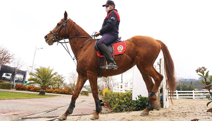 Heybetleriyle caydırıyorlar Heybetleriyle caydırıyorlar