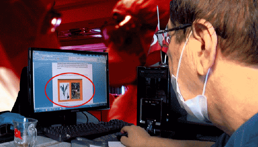 İbn-i Sinanın ilacı koronaya umut oldu Çok önemli gelişme... İbn-i Sinanın ilacı koronaya umut oldu Çok önemli gelişme...