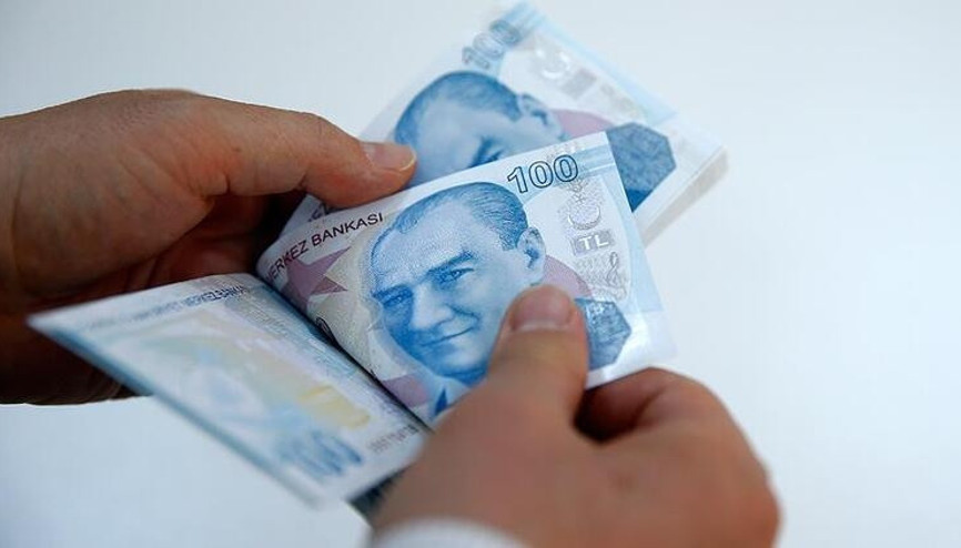 1000 TL sosyal yardım (pandemi yardımı) başvuru ve sonuç sorgulama ekranı 1000 TL sosyal yardım (pandemi yardımı) başvuru ve sonuç sorgulama ekranı