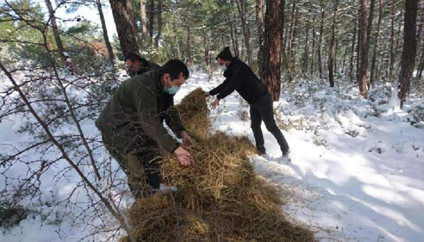 Edirne’de yaban hayvanları için doğaya 1 ton 100 kilo yem bırakıldı