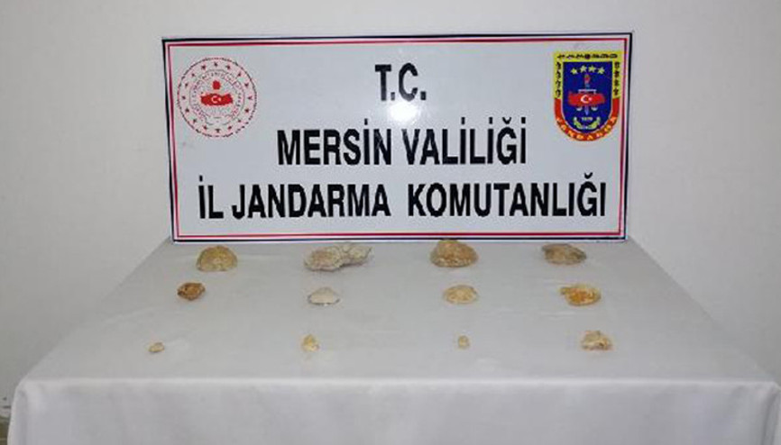 Mersin’de tarihi eser operasyonu