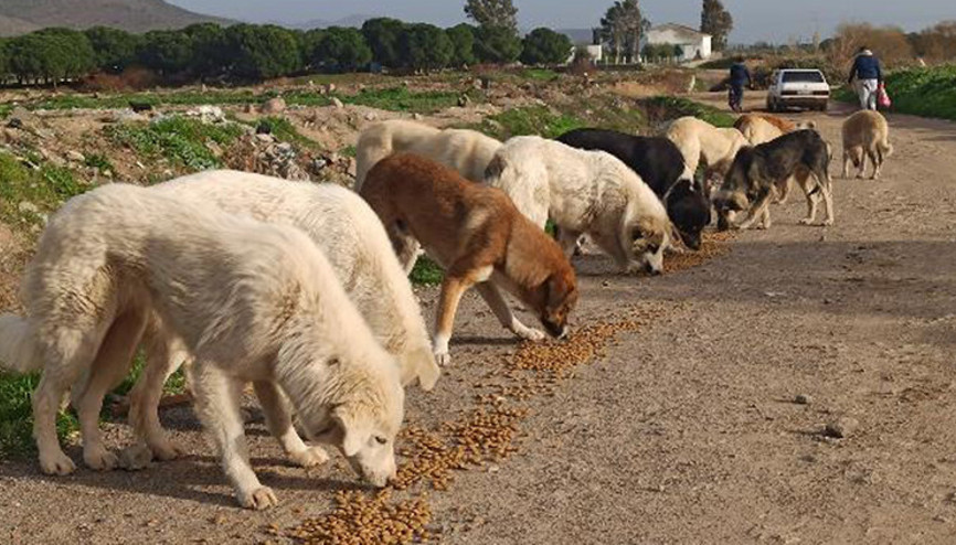 Çöplüğün altın çocukları için harekete geçtiler