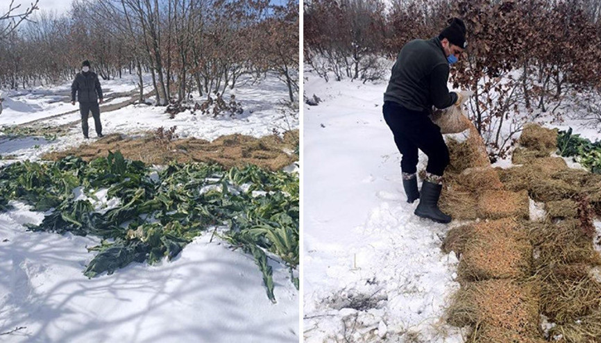 Tekirdağda yaban hayvanları için yem bırakıldı