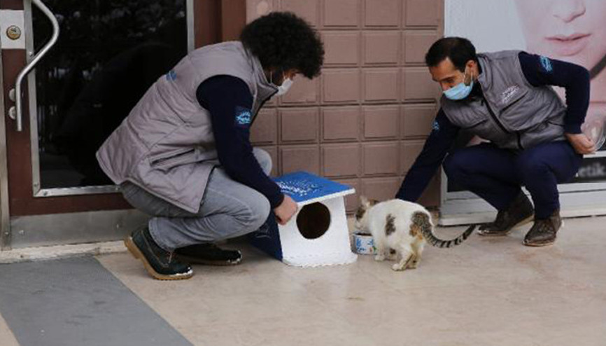 Başakşehir’de Dünya Kediler Günü’nde sevimli dostlar unutulmadı