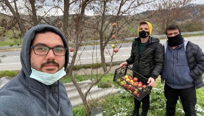 Kuşlar için 20 kilogram elmayı ağaçlara astılar