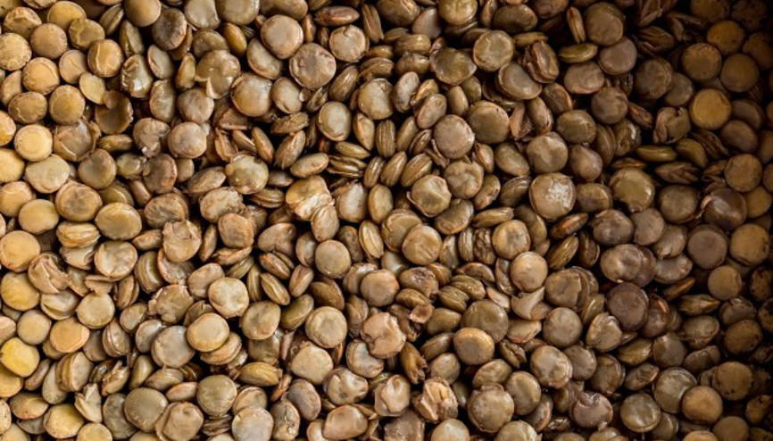 Mercimek Nasıl Yetişir Mercimek Türkiyede En Çok Ve En İyi Nerede Yetişir Ve Nasıl Yetiştirilir