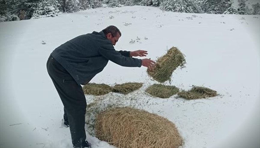 Nallıhan’da yabana destek