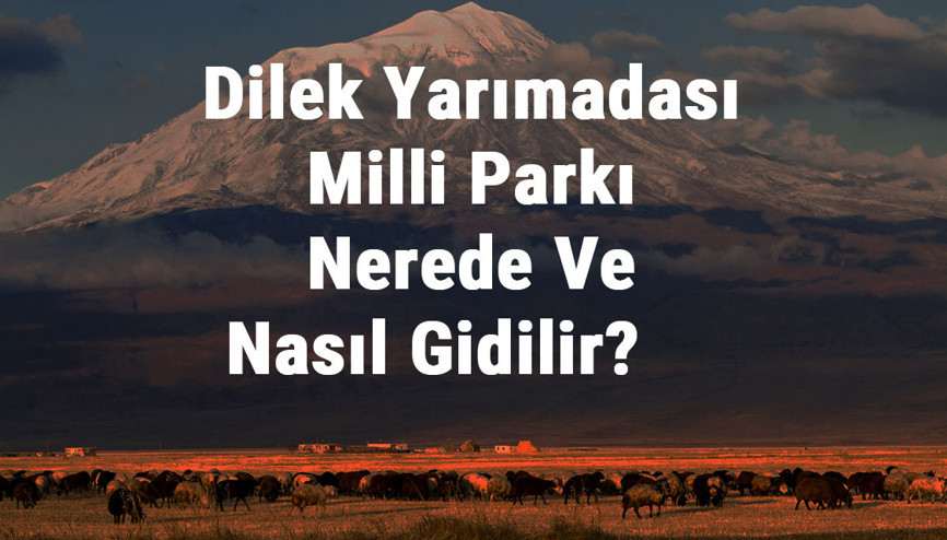 Dilek Yarımadası Milli Parkı Nerede Ve Nasıl Gidilir Dilek Yarımadası Milli Parkı Konaklama, Kamp, Giriş Ücreti Ve Özellikleri Hakkında Bilgi