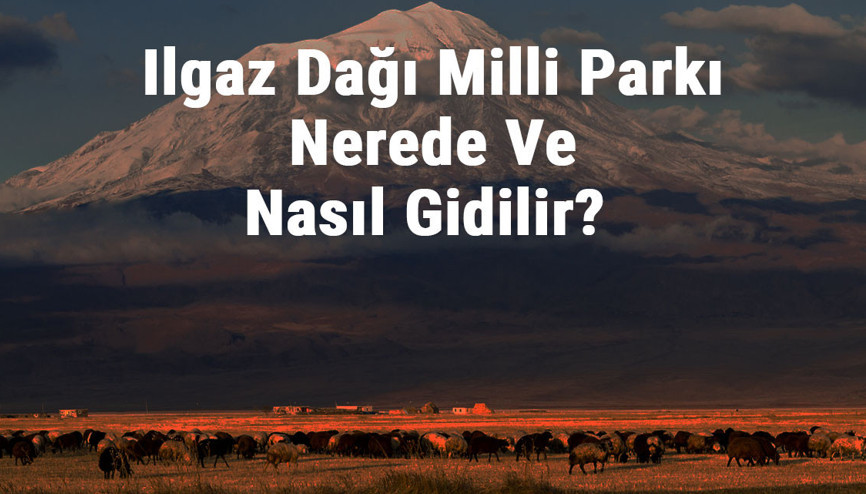 Ilgaz Dağı Milli Parkı Nerede Ve Nasıl Gidilir Ilgaz Dağı Milli Parkı Konaklama, Kamp, Giriş Ücreti Ve Özellikleri Hakkında Bilgi