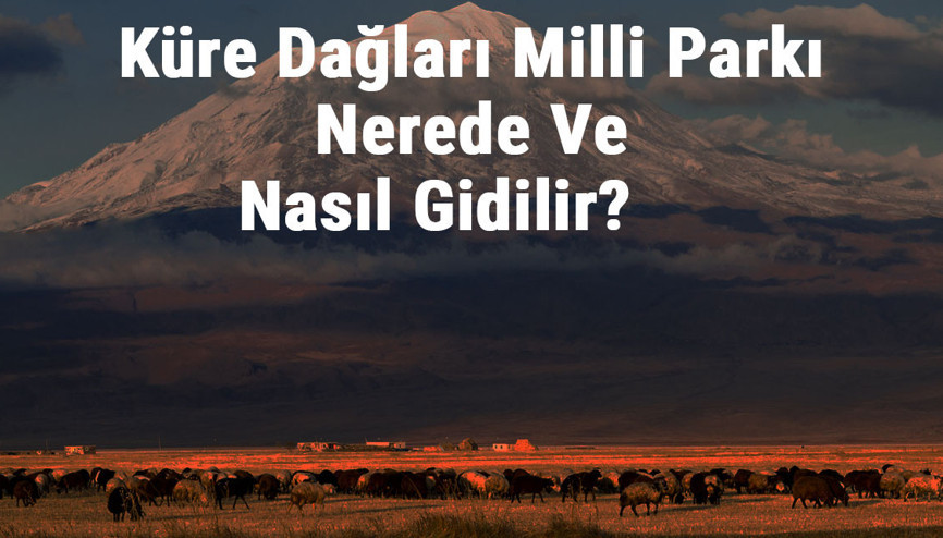Küre Dağları Milli Parkı Nerede Ve Nasıl Gidilir Küre Dağları Milli Parkı Konaklama, Kamp, Giriş Ücreti Ve Özellikleri Hakkında Bilgi Küre Dağları Milli Parkı Nerede Ve Nasıl Gidilir Küre Dağları Milli Parkı Konaklama, Kamp, Giriş Ücreti Ve Özellikleri Hakkında Bilgi