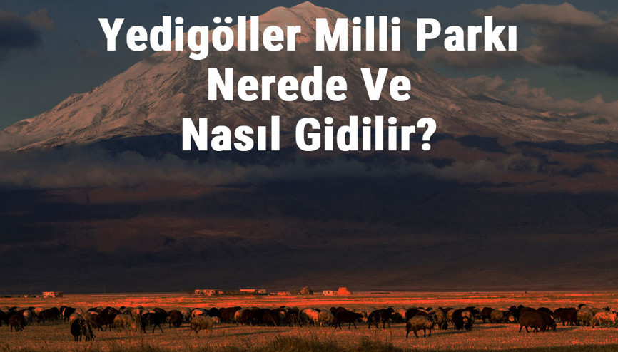 Yedigöller Milli Parkı Nerede Ve Nasıl Gidilir Yedigöller Milli Parkı Konaklama, Kamp, Giriş Ücreti Ve Özellikleri Hakkında Bilgi Yedigöller Milli Parkı Nerede Ve Nasıl Gidilir Yedigöller Milli Parkı Konaklama, Kamp, Giriş Ücreti Ve Özellikleri Hakkında Bilgi