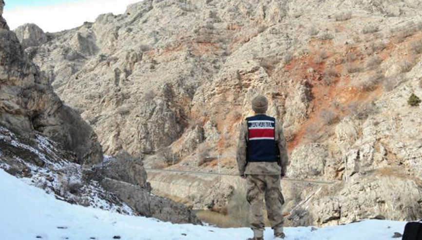 Jandarma, yaban hayvanları için doğaya yem bıraktı