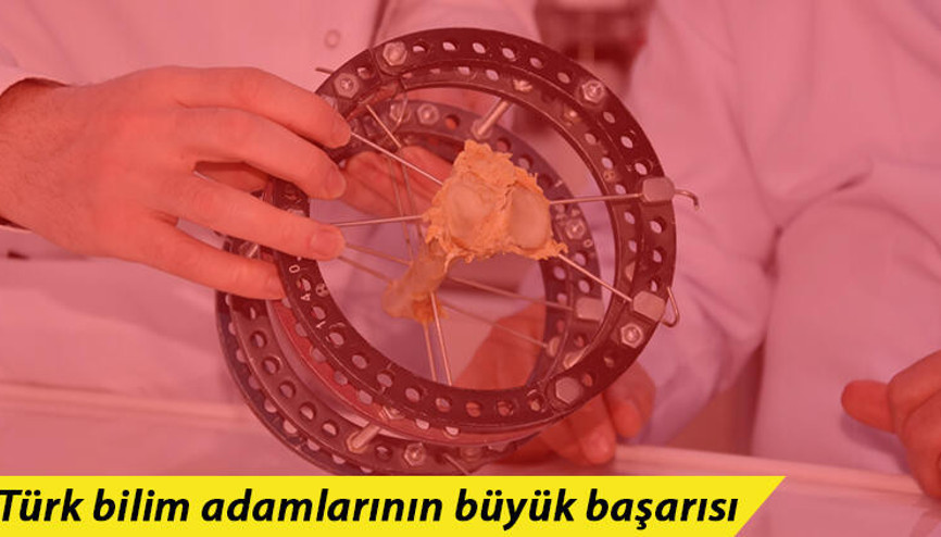 Kudret narının kemik kırığı tedavisinde kullanılabileceği ispatlandı