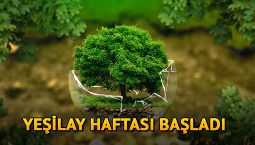 Yeşilay haftası ne zaman İşte Yeşilay Haftası ile ilgili şiirler ve sözler