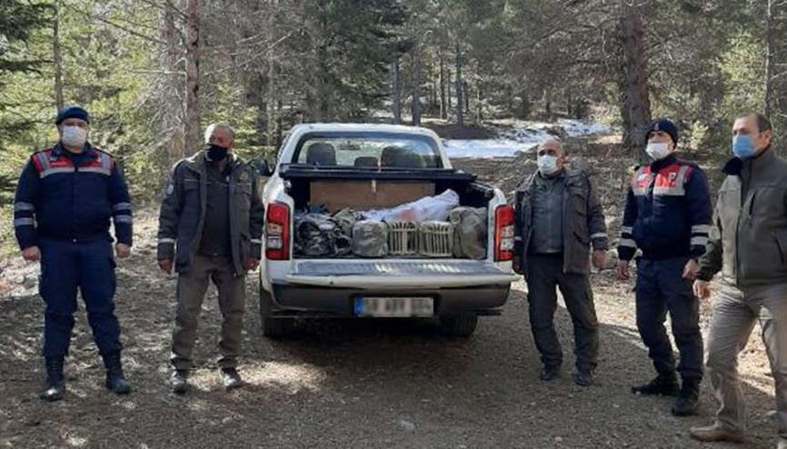 Elazığda kaçak avcıların yakaladığı keklikler doğaya bırakıldı