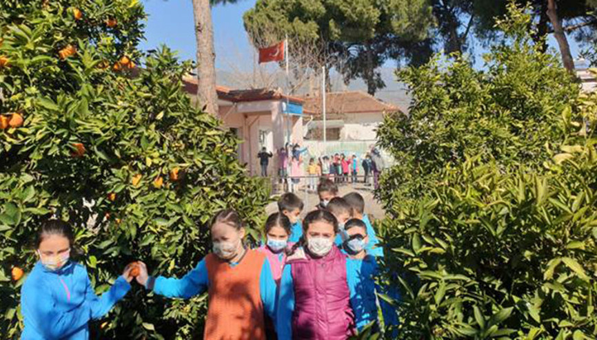 Aydınlı öğrenciler Erzurumdaki kardeşleri için mandalina topladı