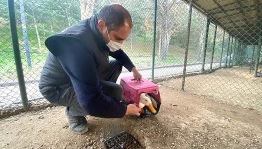 Tedavinin ardından yeni yuvasında