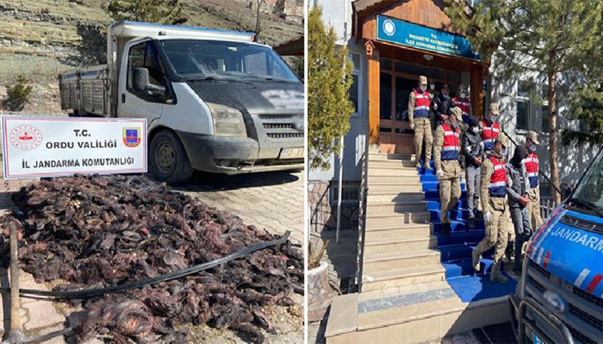 Enerji nakil kablosu hırsızlığına 3 tutuklama Enerji nakil kablosu hırsızlığına 3 tutuklama