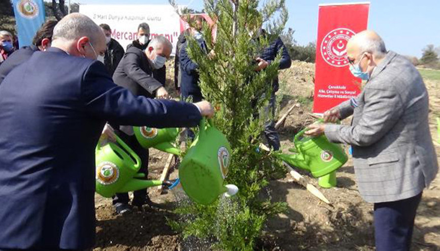 Çanakkalede 8 Mart Dünya Kadınlar Gününde fidan dikildi